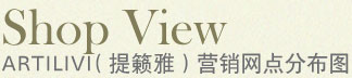提籁雅营销网站分布图 提籁雅营销网站分布图
